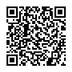 对于齐蓓蓓的这份小心思陆为民也大略能猜出个一二二维码生成