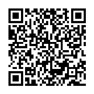 对于龙傲天当年的时候给他的耻辱他可是一直都铭记在心二维码生成