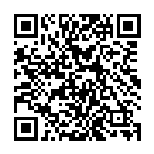 对于龙傲天身上的奇怪的事情他现在已经是见怪不怪了二维码生成