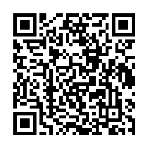 对人类这种结构稳定的碳基智慧生命感到羡慕和嫉妒二维码生成