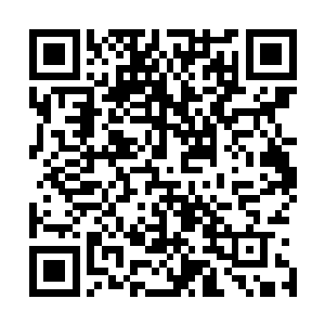 对他们是否能完善九转神皇诀后面三转有着极为重要的作用二维码生成