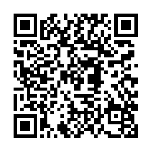 对他们来说只要能够在轮回神殿中有一点的收获的话二维码生成