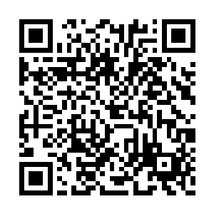 对他而言李大可实力那么高强自然是不会说错的二维码生成