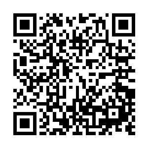 对做鱼已经有了丰富经验的龙鸣来说不过就是多花费点时间二维码生成