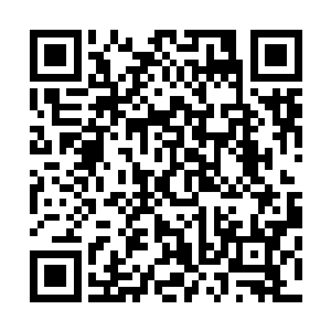 对叶道温叶道陵这些有可能攀登天道的强者来说是一个提示二维码生成
