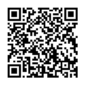对她的思路也很赞同――然后整个工作对珍妮来说就很简单了二维码生成