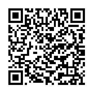 对已经腼腆得将脖子都快要埋到地上的周芸说道二维码生成