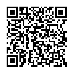 对我们这些革命同事却如同秋风扫落叶般彪悍啊二维码生成