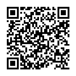 对战斗十足敏感的她哪还不知道这蔽天轮的厉害二维码生成