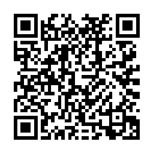 对方修为本就不如同列天域绝巅大能等级的雪丹如二维码生成