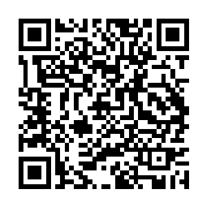 对方那个宗师级高手感受到秦方这一股恐怖的气息二维码生成