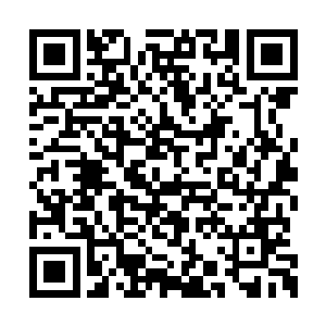 对方那能够与卧龙武宗这座防御大阵抗衡的阵法二维码生成