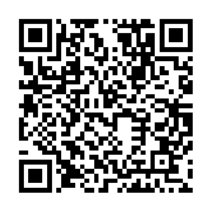 对比阿母对这事情的宽容他自己的一直隐瞒确实是有点不对二维码生成