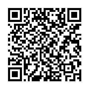 对现有的化学和生物体进行改造或研发出新型的化学或生物体二维码生成