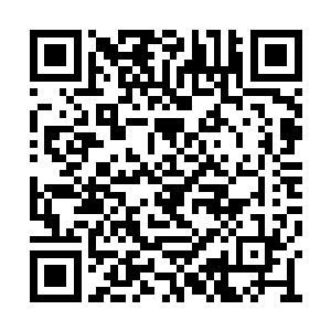 对珍宝楼那些修为低下的管事和弟子展开了屠杀二维码生成