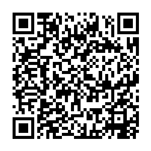 对着在她眼中姗姗来迟实际上对方已经火速前进的消防队员们吼道二维码生成