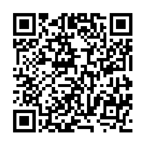 对着跟前不远处的两个中年男子露出一个略带恶意的假笑二维码生成