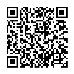 对着那倒在地上以及前方不敢动手的三人出声询问道二维码生成