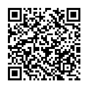 对着青绿色头发的青年点头问好后坐到了他的对面二维码生成