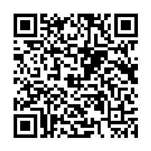 对自己的儿子便没有了顾忌一拍桌子站了起来喝道二维码生成