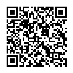对自己这位同伴的神经大条程度不仅都有些叹为观止了二维码生成