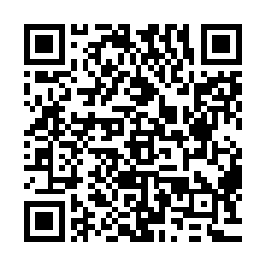 对自身有着非常高的道德要求的司马十七郎成为她的精神支柱二维码生成