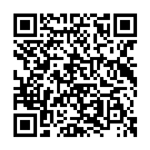 对许多常人认为深奥无比的事情却仿佛生而知之二维码生成