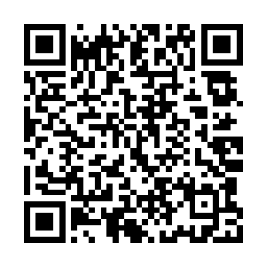 对这个不能完全施展的神兽的威压都不十分在意二维码生成