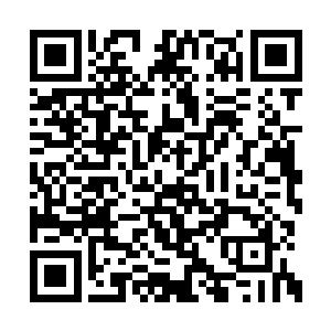 对这些肯在荒域内挣扎不肯成为仙奴的飞升修士二维码生成