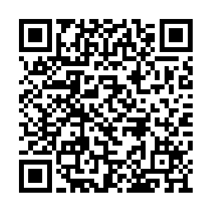 对面的一处墙壁上立即浮现出一层灰白色的石皮二维码生成