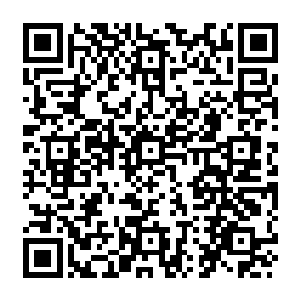 对面的守护者和他们的属下眼睁睁看着自己的同伴被那群怪物一样的人群吸血而亡二维码生成