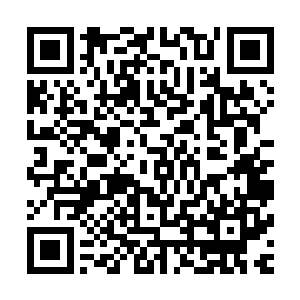 对面的贺东华显然没有想到自己打了近十天的电话居然接通了二维码生成