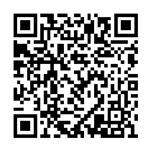 对面那个神龟海盗团的副团长看到夏天没有回话二维码生成