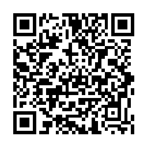 寻找武道传承的几率将会比以往任何时候大的多二维码生成