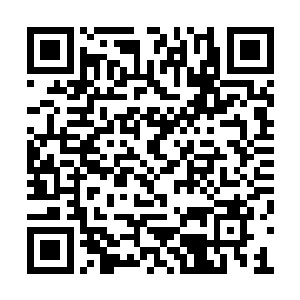 寻风曾从她这里偷偷拿走了一根头发给那个什么二维码生成