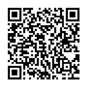 导播又很恶意地将其他选手在第二名公布时的神情逐一放了一遍二维码生成