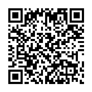 导播给了正在等待蓝buff刷新的豹女和潘森一个镜头二维码生成