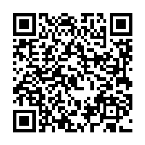 导致了张家在和其他华夏中医隐门的比拼中落入了下风二维码生成