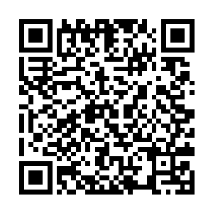 导致如今的玄道教弟子甚至轻易不敢离岛去海上历练二维码生成