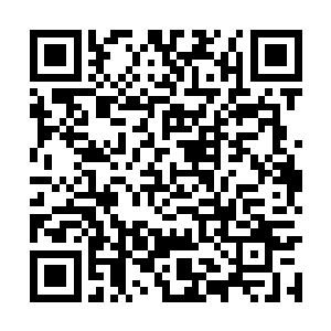 导致所有的思想都被王者控制麻木而没有任何拒绝二维码生成