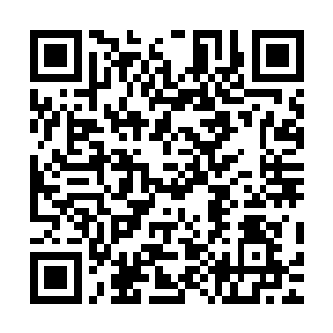 导致敌人几乎没有什么阻拦地越过了淘宝拳与杀手17这两道障碍二维码生成