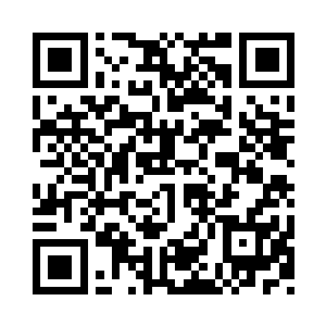封印兽魂的过程本来就经过了芯片的模拟二维码生成