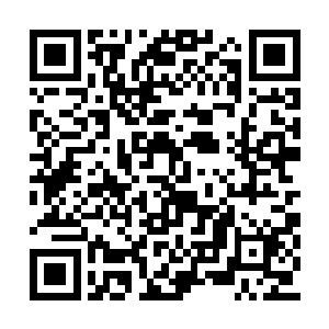 封天城的城墙底部传出了令人毛骨悚然的碎裂声二维码生成