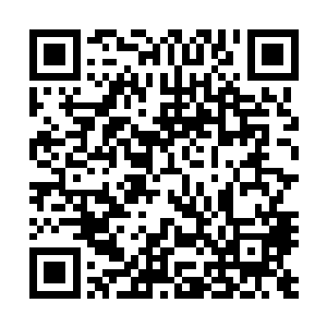 将一个好逸恶劳的现代小白领改造成任何时候都能绷紧神经二维码生成