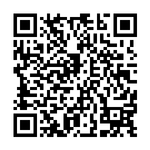 将一些特殊药草或者天材地宝中的邪恶能量什么的二维码生成