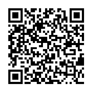 将七大宗门进入域外星陆的后辈天才一一对比了一遍二维码生成