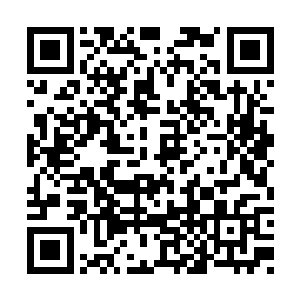 将主昨晚就把今天要出战的消息告诉了每一个人二维码生成