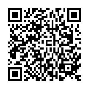 将之前她和金晓晓曾泰相处时候的一些细节再细细回味了一遍二维码生成