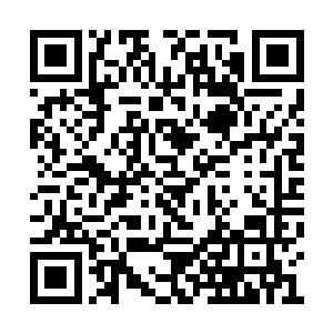 将他们之前毁掉的那座域主级墨巢放在这里比较二维码生成