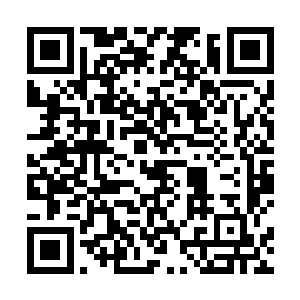 将他们此生最强的攻击全部都倾泻在了九头圣王的身上二维码生成